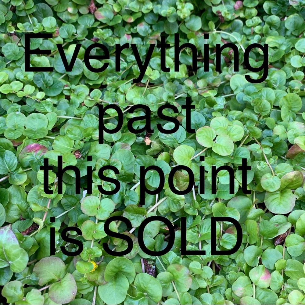 SOLD ITEMS